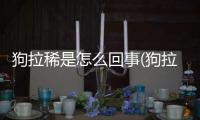 狗拉稀是怎么回事(狗拉稀還有血怎么回事)