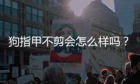 狗指甲不剪會怎么樣嗎？狗指甲不剪有影響嗎