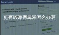 狗有咳嗽有鼻涕怎么辦啊吃什么藥？狗有咳嗽有鼻涕怎么辦啊吃什么