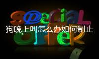 狗晚上叫怎么辦如何制止(狗晚上一直叫怎么辦)