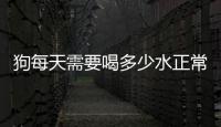 狗每天需要喝多少水正常(狗每天喝多少水好)
