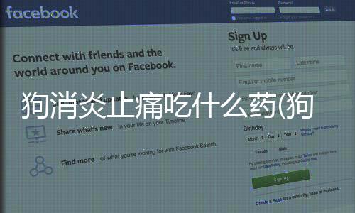 狗消炎止痛吃什么藥(狗吃消炎藥)
