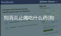 狗消炎止痛吃什么藥(狗吃消炎藥)