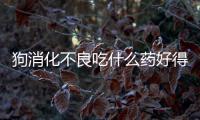 狗消化不良吃什么藥好得快(狗消化不良拉肚子吃什么藥)