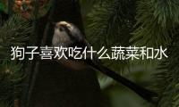 狗子喜歡吃什么蔬菜和水果？狗喜歡吃什么蔬菜水果