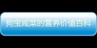 狗寶咸菜的營(yíng)養(yǎng)價(jià)值百科