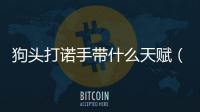 狗頭打諾手帶什么天賦（狗頭打諾手）