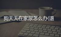 狗天天在家尿怎么辦(退休后天天在家睡覺)