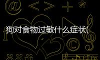 狗對食物過敏什么癥狀(食物過敏了怎么辦最快方法)