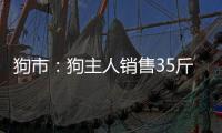 狗市：狗主人銷售35斤狼青犬，7元一斤的價格，值不值？