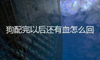狗配完以后還有血怎么回事(狗狗配狗配不上怎么辦)