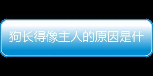 狗長得像主人的原因是什么