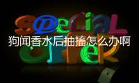 狗聞香水后抽搐怎么辦啊？狗聞到香水激動