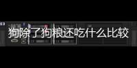 狗除了狗糧還吃什么比較好(幼犬除了狗糧還可以吃什么)