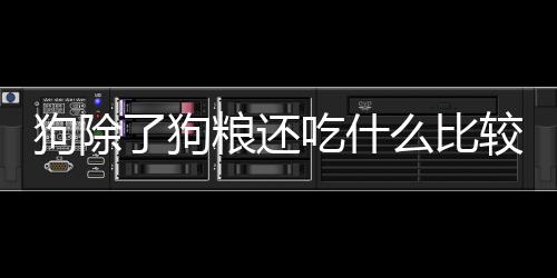 狗除了狗糧還吃什么比較好(幼犬除了狗糧還可以吃什么)