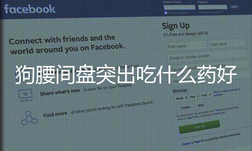 狗腰間盤突出吃什么藥好(腰間盤突出吃什么藥立馬見效)