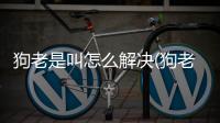 狗老是叫怎么解決(狗老是尿怎么回事)