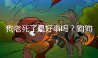 狗老死了是好事嗎？狗狗老死的時候是什么樣子的