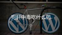 狗肝中毒吃什么藥