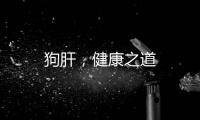 狗肝，健康之道