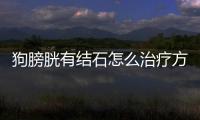 狗膀胱有結石怎么治療方法視頻？狗膀胱有結石怎么辦
