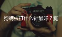 狗螨蟲打什么針最好？狗螨蟲打什么針效果最好