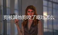 狗被其他狗咬了嘔吐怎么辦(狗暈車后嘔吐怎么辦)