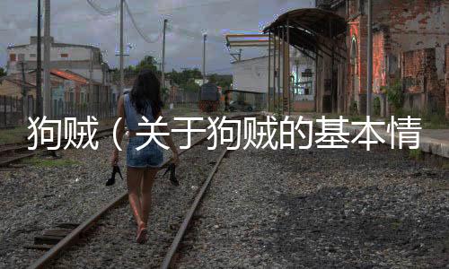 狗賊（關于狗賊的基本情況說明介紹）