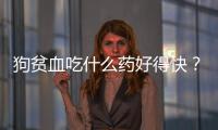 狗貧血吃什么藥好得快？狗貧血吃什么藥能好