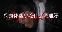 狗身體瘦小吃什么調理好？狗身體瘦小吃什么調理最好