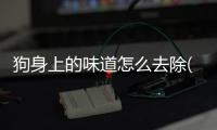 狗身上的味道怎么去除(狗身上的味道特別大是什么原因)