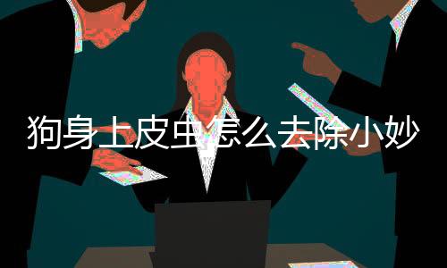 狗身上皮蟲怎么去除小妙招？狗狗身上皮蟲長升么樣子