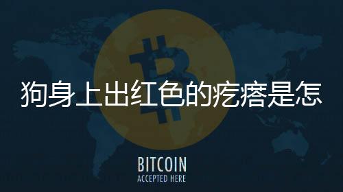 狗身上出紅色的疙瘩是怎么回事？狗身上起紅點是什么病