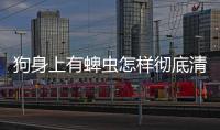 狗身上有蜱蟲怎樣徹底清除