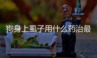 狗身上虱子用什么藥治最快最好？狗身上虱子用什么藥最好