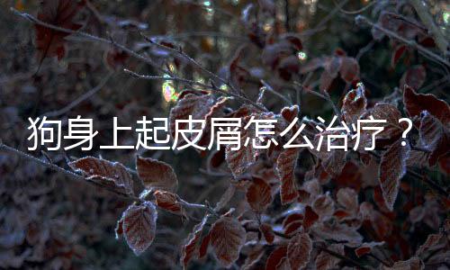 狗身上起皮屑怎么治療？狗身上起皮屑怎么治好
