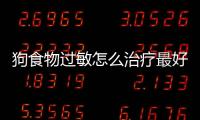 狗食物過敏怎么治療最好？狗食物過敏怎么治療好