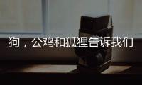狗，公雞和狐貍告訴我們什么道理  狗，公雞和狐貍是伊索寓言嗎