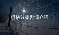 狙殺分集劇情介紹