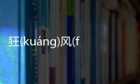 狂(kuáng)風(fēng)暴(bào)雨(yǔ)可以這樣理解嗎?