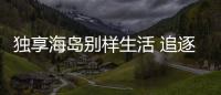 獨享海島別樣生活 追逐夏日遠去的陽光