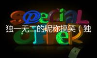 獨一無二的昵稱搞笑（獨一無二呢稱）