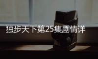 獨步天下第25集劇情詳細介紹