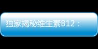 獨(dú)家揭秘維生素B12：身體的秘密武器！
