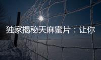 獨(dú)家揭秘天麻蜜片：讓你煥發(fā)精力，提升專注力！