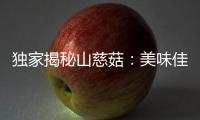 獨家揭秘山慈菇：美味佳肴兼護身神器，禁忌一定要知！