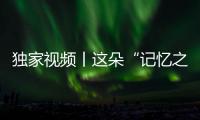 獨家視頻丨這朵“記憶之花”，凝聚杭州亞運(yùn)的美好回憶