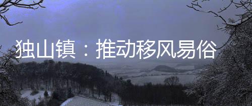 獨山鎮：推動移風易俗 揚文明新風_