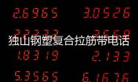 獨(dú)山鋼塑復(fù)合拉筋帶電話