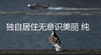 獨(dú)自居住無意識美麗 純粹得可愛